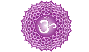 Kruinchakra (Sahasrara), chakrasymbool